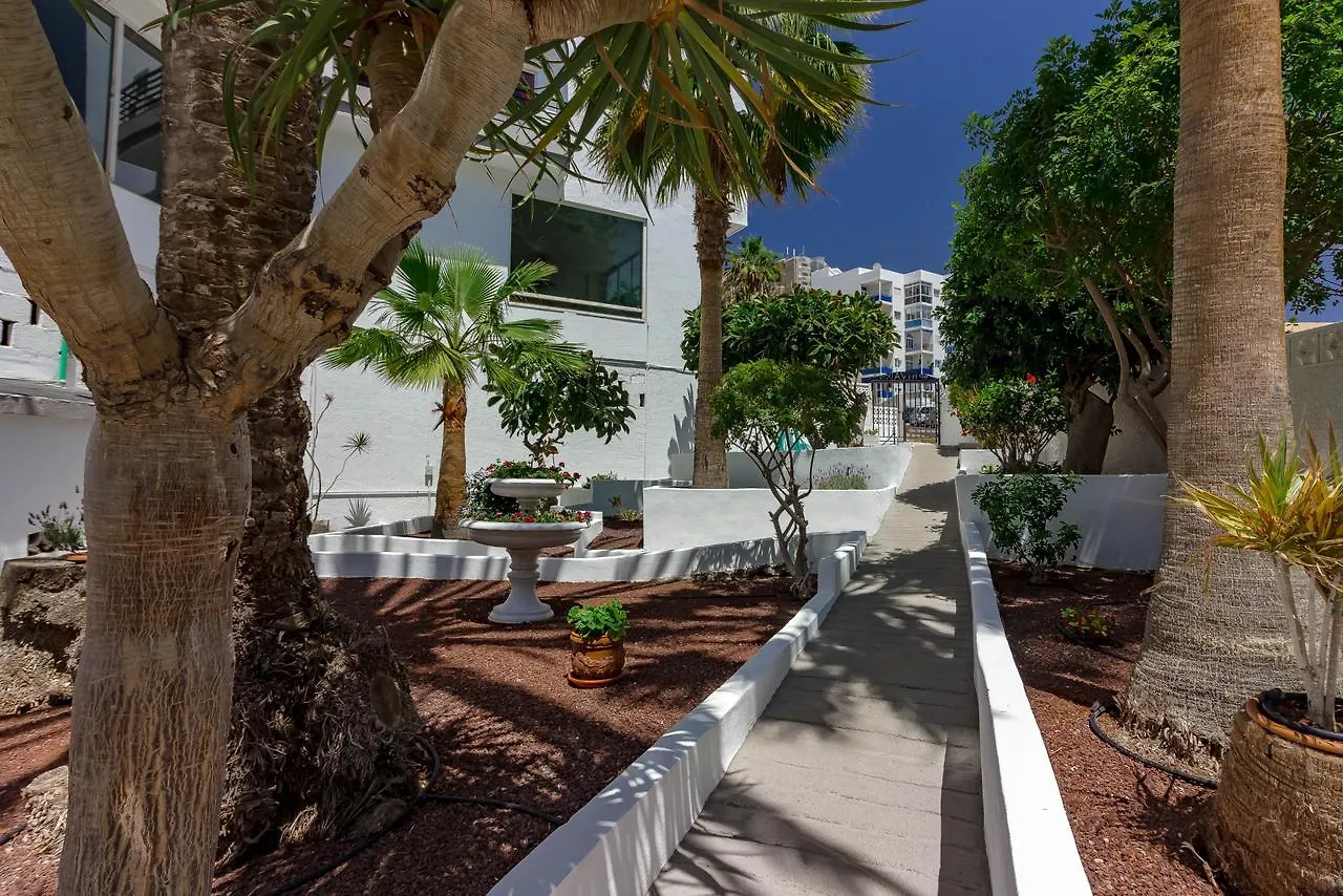 Estrella 1A021 Apartment Los Cristianos  Los Cristianos (Tenerife)